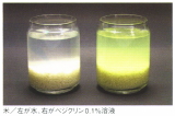 米／左が水、右がベジクリン０.１％溶液